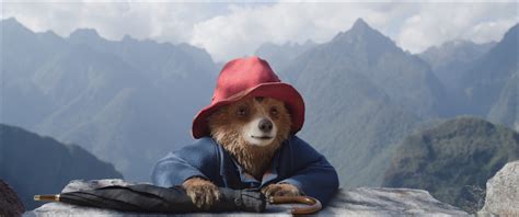 Paddington na Amazónia 2025