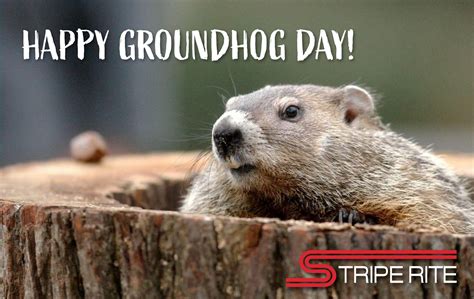 Groundhog Day 2025 safe