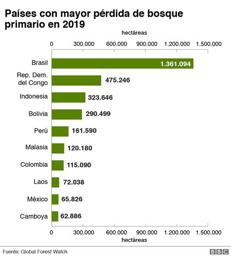 Pérdida Total 2025